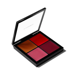 Pro Face Palette: BlushPro Face Palette: Blush