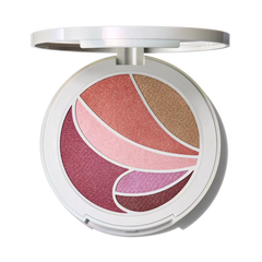 Metamorphosis Face & Eye PaletteMetamorphosis Face & Eye Palette